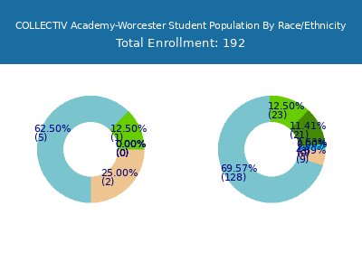 COLLECTIV Academy-Worcester 2025 Student Population by Gender and Race chart