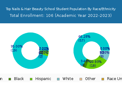 Top Nails & Hair Beauty School 2023 Student Population by Gender and Race chart
