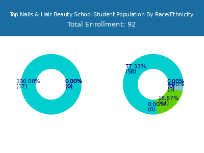 Top Nails & Hair Beauty School 2025 Student Population by Gender and Race chart