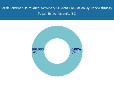 Torah Temimah Talmudical Seminary 2025 Student Population by Gender and Race chart