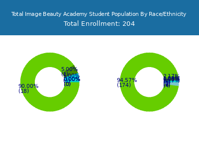Total Image Beauty Academy 2025 Student Population by Gender and Race chart