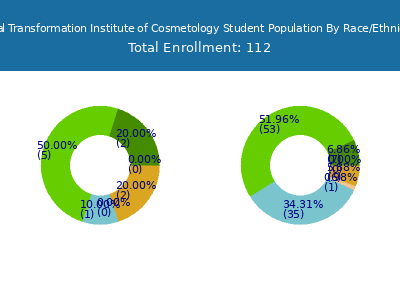 Total Transformation Institute of Cosmetology 2025 Student Population by Gender and Race chart