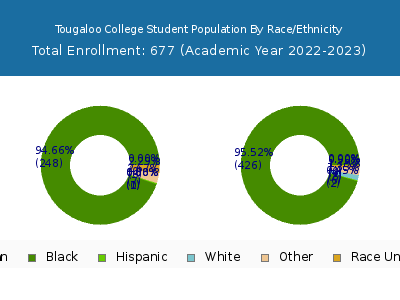 Tougaloo College 2023 Student Population by Gender and Race chart