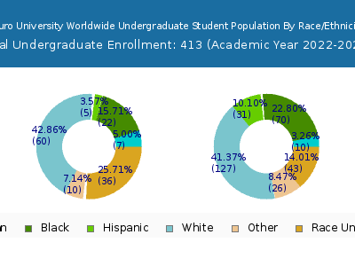 Touro University Worldwide 2023 Undergraduate Enrollment by Gender and Race chart