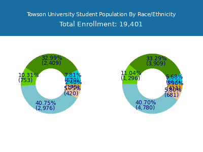 Towson University 2025 Student Population by Gender and Race chart