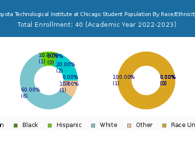 Toyota Technological Institute at Chicago 2023 Student Population by Gender and Race chart