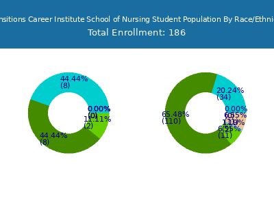 Transitions Career Institute School of Nursing 2025 Student Population by Gender and Race chart
