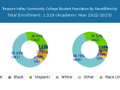 Treasure Valley Community College 2023 Student Population by Gender and Race chart