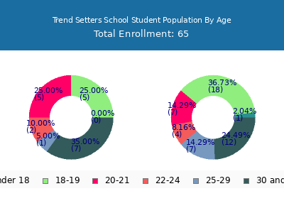 Trend Setters School 2024 Student Population Age Diversity Pie chart