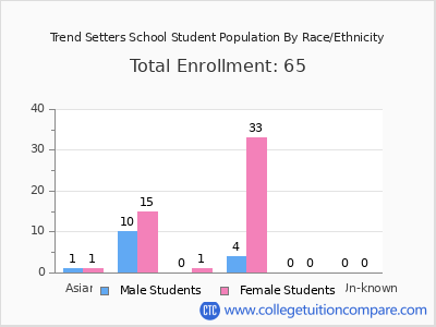 Trend Setters School 2025 Student Population by Gender and Race chart