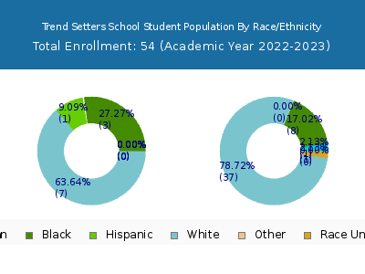 Trend Setters School 2023 Student Population by Gender and Race chart