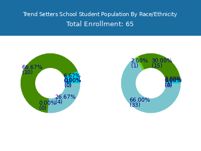 Trend Setters School 2025 Student Population by Gender and Race chart