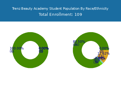 Trenz Beauty Academy 2025 Student Population by Gender and Race chart