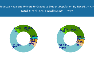 Trevecca Nazarene University 2025 Graduate Enrollment by Gender and Race chart
