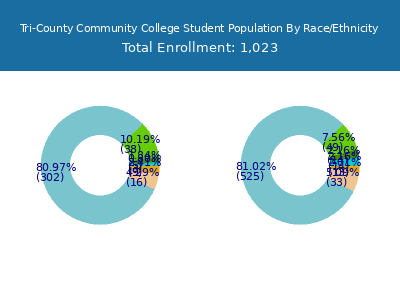 Tri-County Community College 2025 Student Population by Gender and Race chart