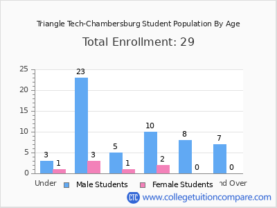 Triangle Tech-Chambersburg 2024 Student Population by Age chart