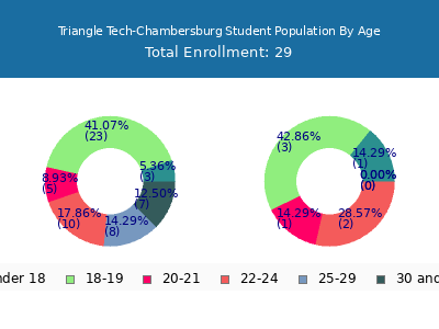 Triangle Tech-Chambersburg 2024 Student Population Age Diversity Pie chart