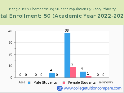 Triangle Tech-Chambersburg 2023 Student Population by Gender and Race chart