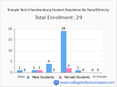 Triangle Tech-Chambersburg 2025 Student Population by Gender and Race chart