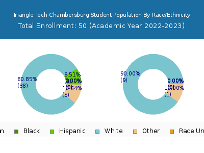 Triangle Tech-Chambersburg 2023 Student Population by Gender and Race chart