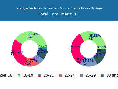 Triangle Tech Inc-Bethlehem 2024 Student Population Age Diversity Pie chart