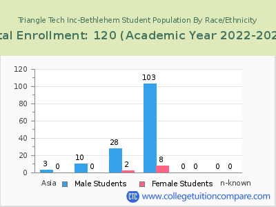 Triangle Tech Inc-Bethlehem 2023 Student Population by Gender and Race chart