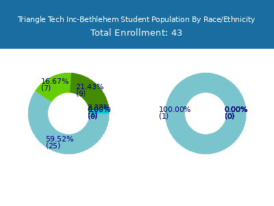 Triangle Tech Inc-Bethlehem 2025 Student Population by Gender and Race chart