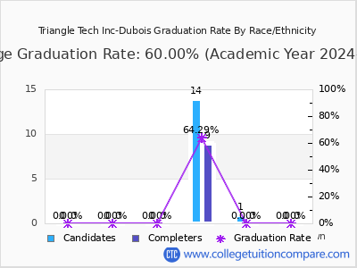 Triangle Tech Inc-Dubois graduation rate by race