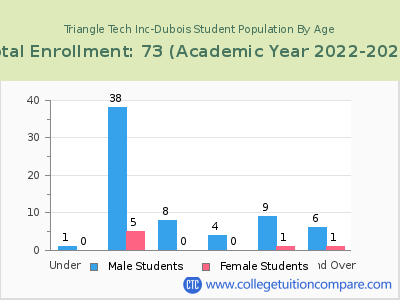 Triangle Tech Inc-Dubois 2023 Student Population by Age chart