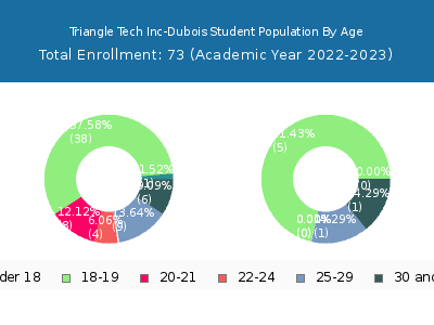 Triangle Tech Inc-Dubois 2023 Student Population Age Diversity Pie chart