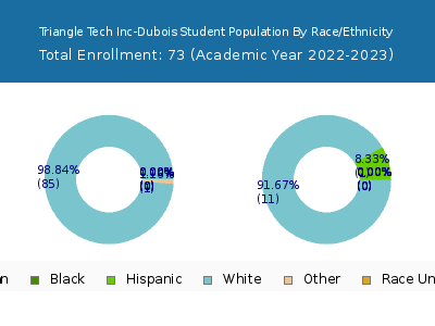 Triangle Tech Inc-Dubois 2023 Student Population by Gender and Race chart