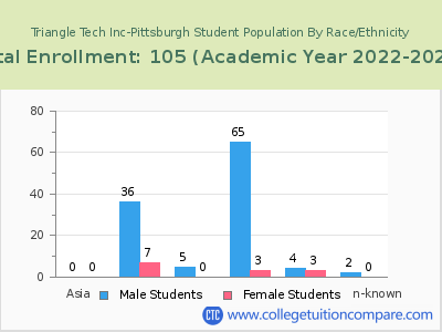 Triangle Tech Inc-Pittsburgh 2023 Student Population by Gender and Race chart