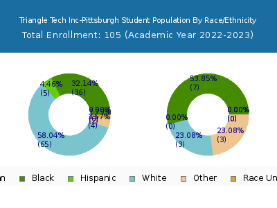 Triangle Tech Inc-Pittsburgh 2023 Student Population by Gender and Race chart