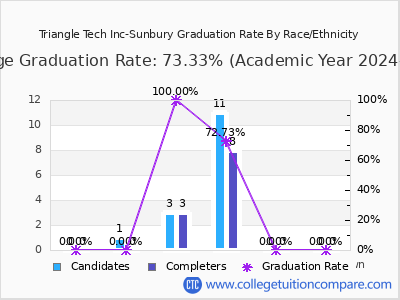 Triangle Tech Inc-Sunbury graduation rate by race