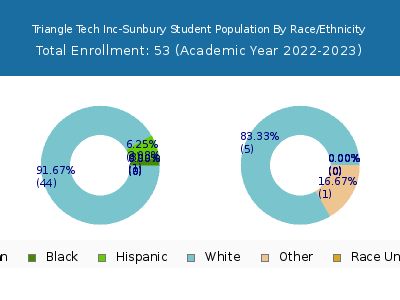 Triangle Tech Inc-Sunbury 2023 Student Population by Gender and Race chart