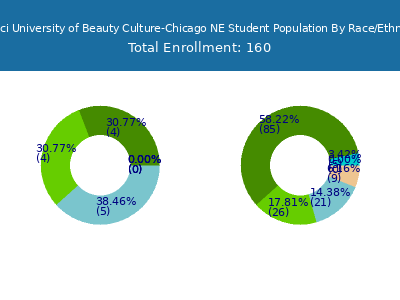 Tricoci University of Beauty Culture-Chicago NE 2025 Student Population by Gender and Race chart