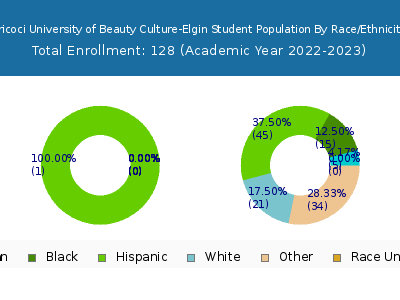 Tricoci University of Beauty Culture-Elgin 2023 Student Population by Gender and Race chart