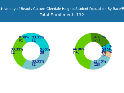 Tricoci University of Beauty Culture-Glendale Heights 2025 Student Population by Gender and Race chart