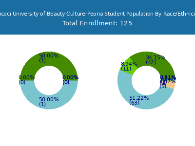 Tricoci University of Beauty Culture-Peoria 2025 Student Population by Gender and Race chart