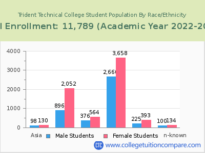 Trident Technical College 2023 Student Population by Gender and Race chart