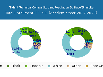 Trident Technical College 2023 Student Population by Gender and Race chart