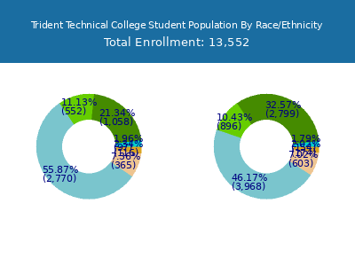 Trident Technical College 2025 Student Population by Gender and Race chart