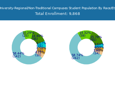 Trine University-Regional/Non-Traditional Campuses 2025 Student Population by Gender and Race chart