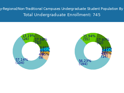 Trine University-Regional/Non-Traditional Campuses 2025 Undergraduate Enrollment by Gender and Race chart