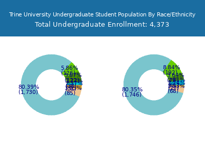 Trine University 2025 Undergraduate Enrollment by Gender and Race chart