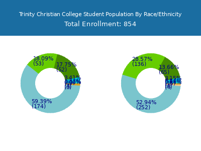 Trinity Christian College 2025 Student Population by Gender and Race chart