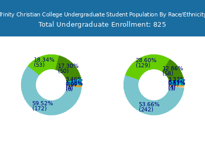 Trinity Christian College 2025 Undergraduate Enrollment by Gender and Race chart
