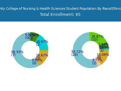 Trinity College of Nursing & Health Sciences 2025 Student Population by Gender and Race chart