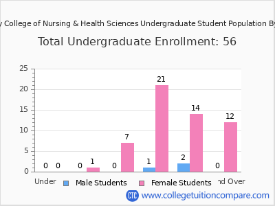 Trinity College of Nursing & Health Sciences 2024 Undergraduate Enrollment by Age chart
