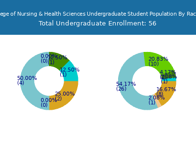 Trinity College of Nursing & Health Sciences 2025 Undergraduate Enrollment by Gender and Race chart